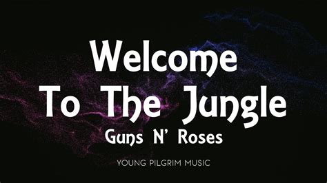 Welcome to the jungle, which is the chaotic world of sex, drugs, and alcohol. This chaotic world can make you a addict of the chaos. The partying can take it's toll both on one's mind and body. The verse is about embracing the chaos. Welcome to the jungle, we take it day by day.
